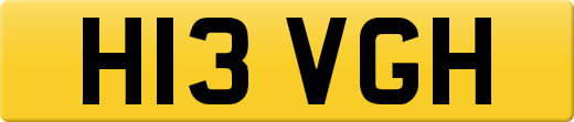 H13VGH